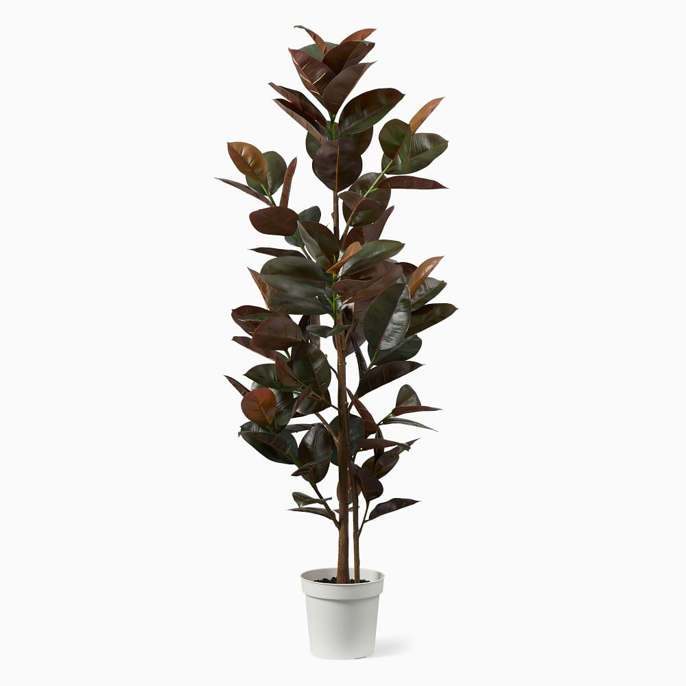 Faux Potted Rubber Tree, 6' - Image 0