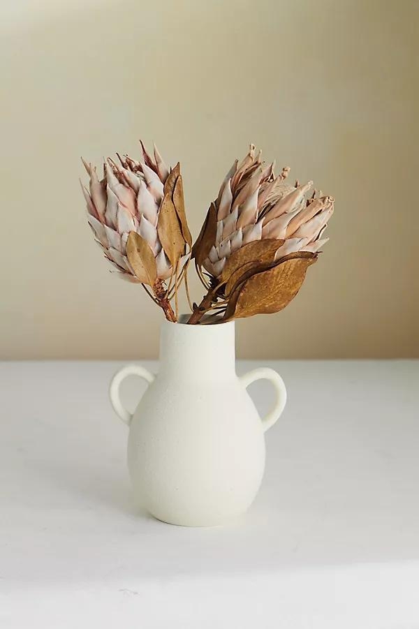 Dried King Protea Stems, Blush Set of 2 - Image 0