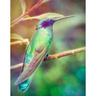 Hummingbird on Branch by Graffitee Studios - Wrapped Canvas Graphic Art Print - Image 0