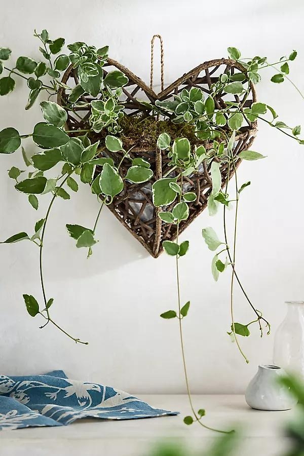 Hanging Twig Heart Planter - Image 0