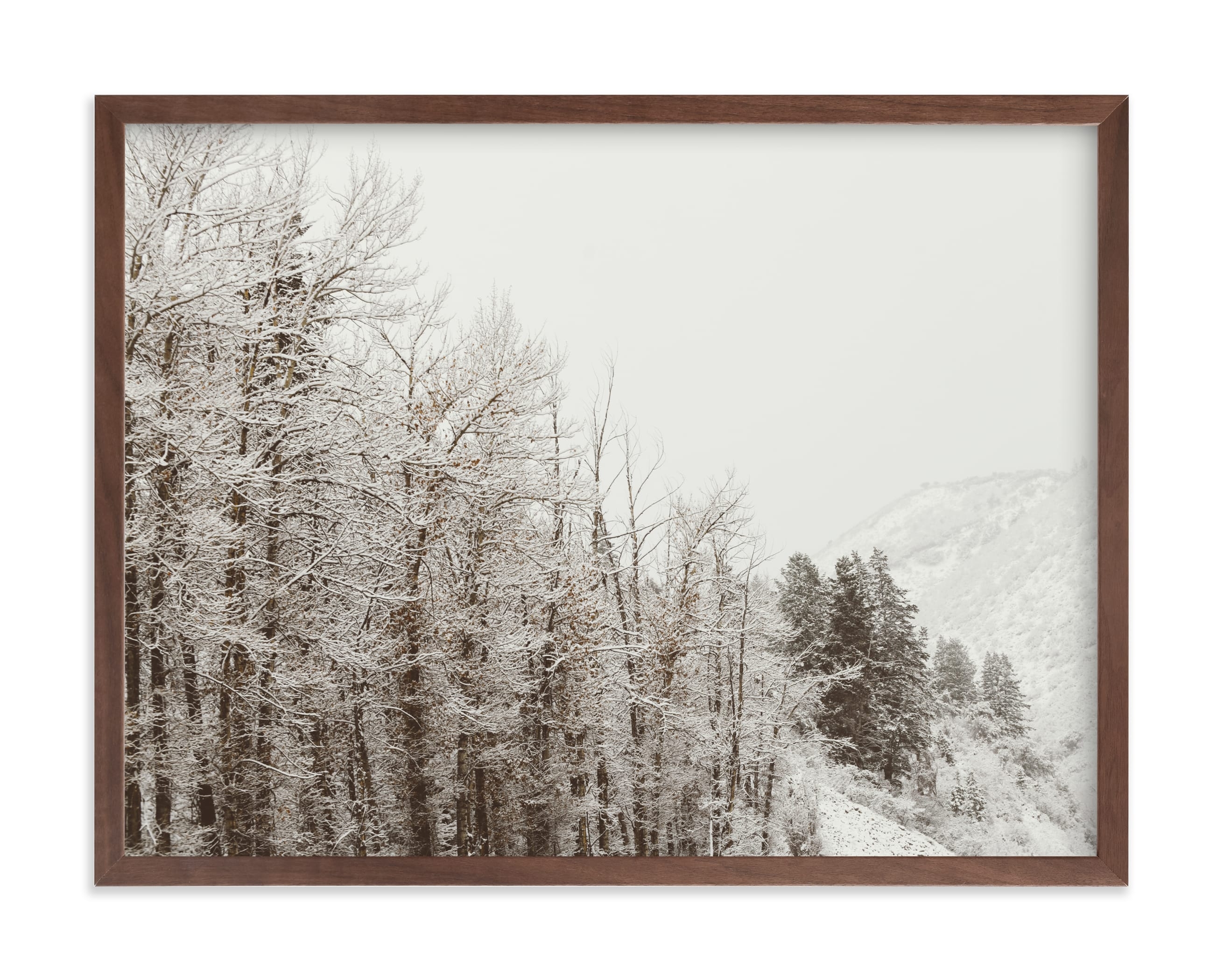 Argentum Pair I Limited Edition Fine Art Print 2 - Image 0