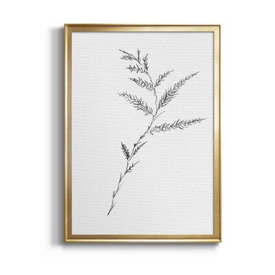 Floral Sketch Iii - Picture Frame Print on Canvas - Image 0