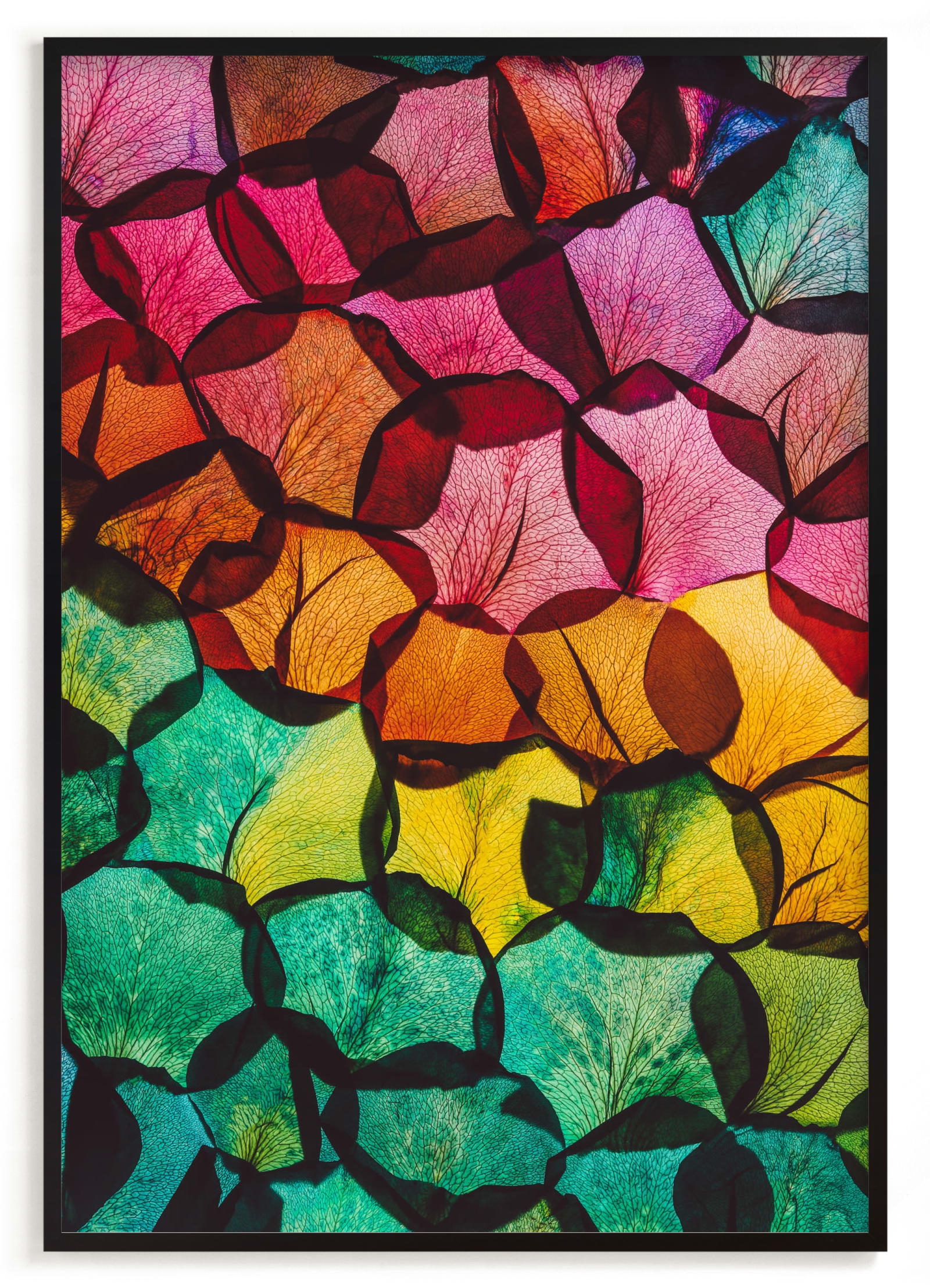 Rainbow Rose Petals Limited Edition Fine Art Print 2 - Image 0