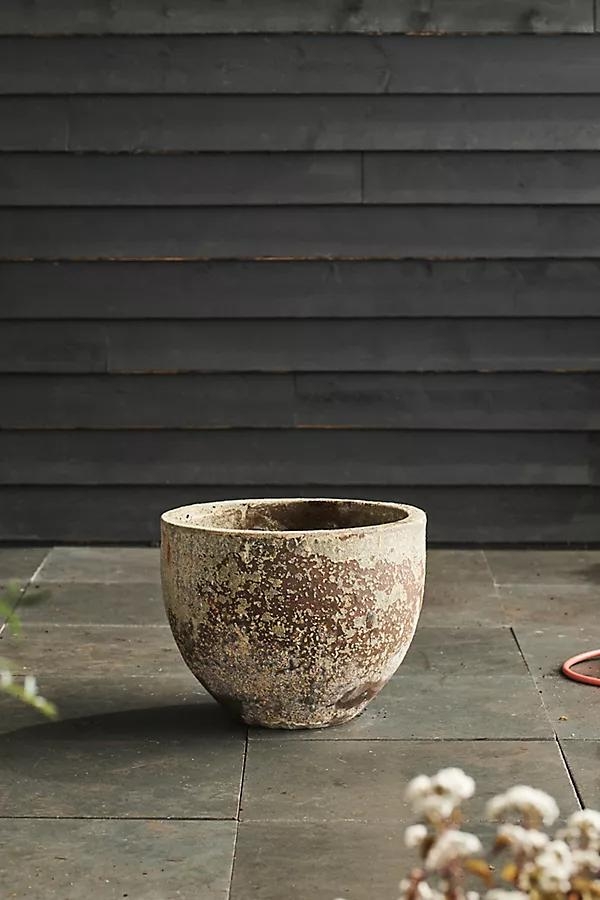 Barnacle Low Egg Pot, 24" - Image 0