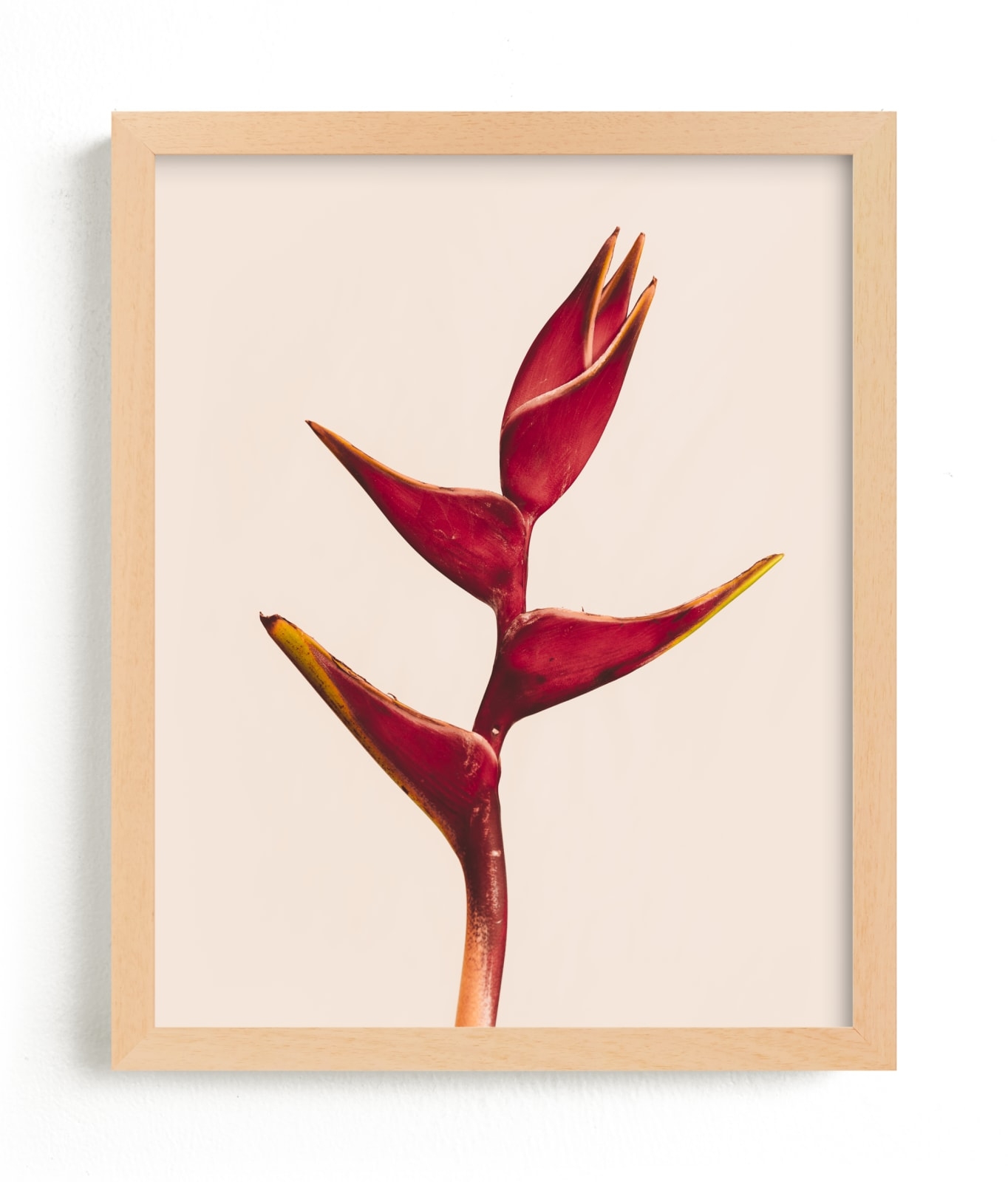 Heliconia 3 Limited Edition Fine Art Print 2 - Image 0