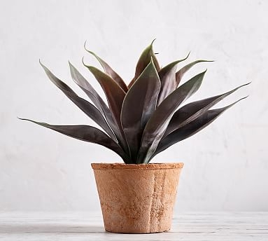 Faux Potted Agave, Red, Medium - Image 0