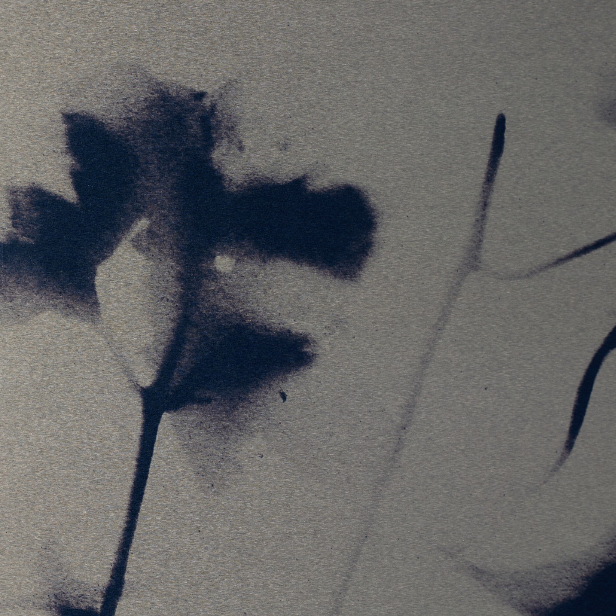 Cyanotype Botanical II by Coup D'esprit - Vertical Grain White Oak Floater - Image 3
