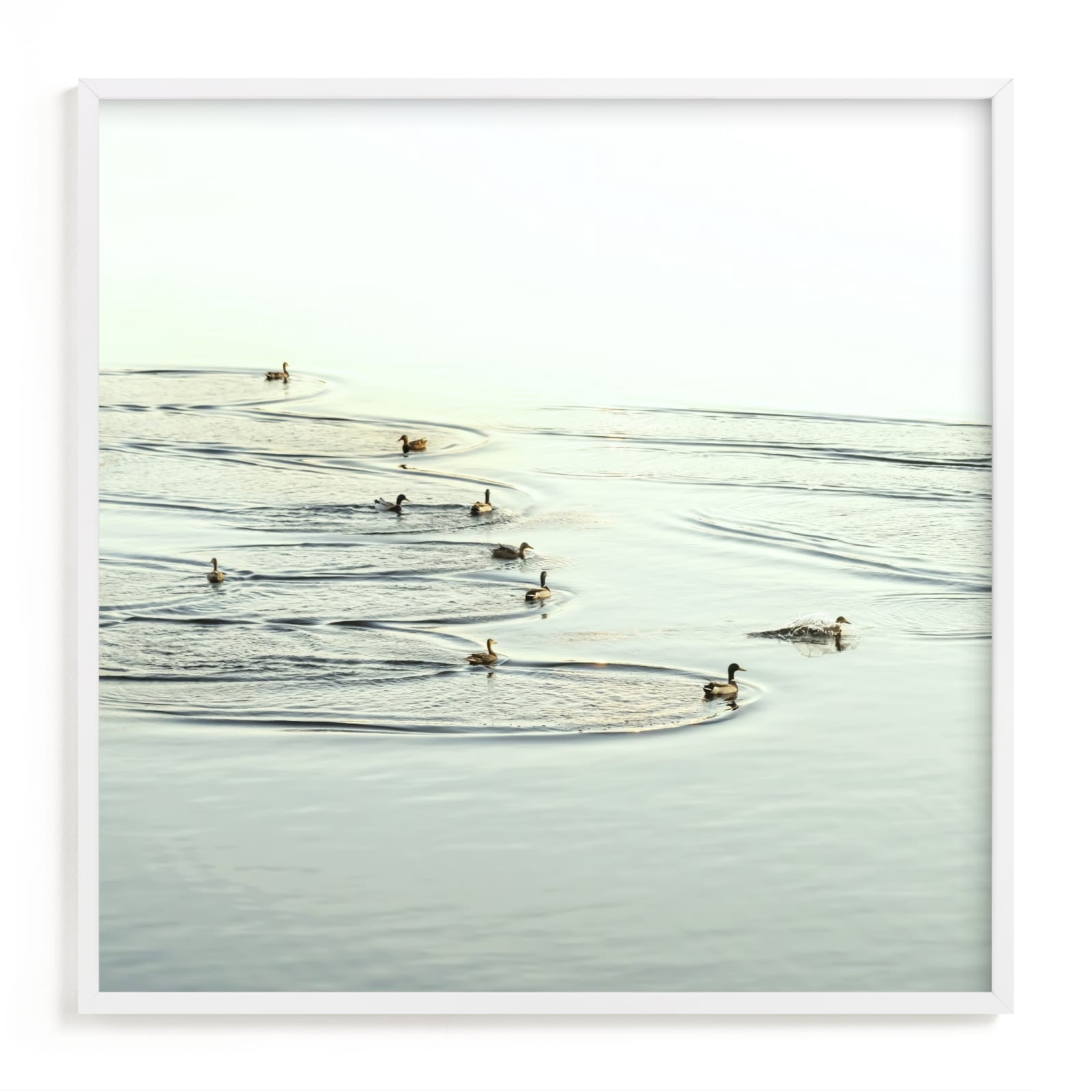 Soft Landing Limited Edition Fine Art Print 2 - Image 0