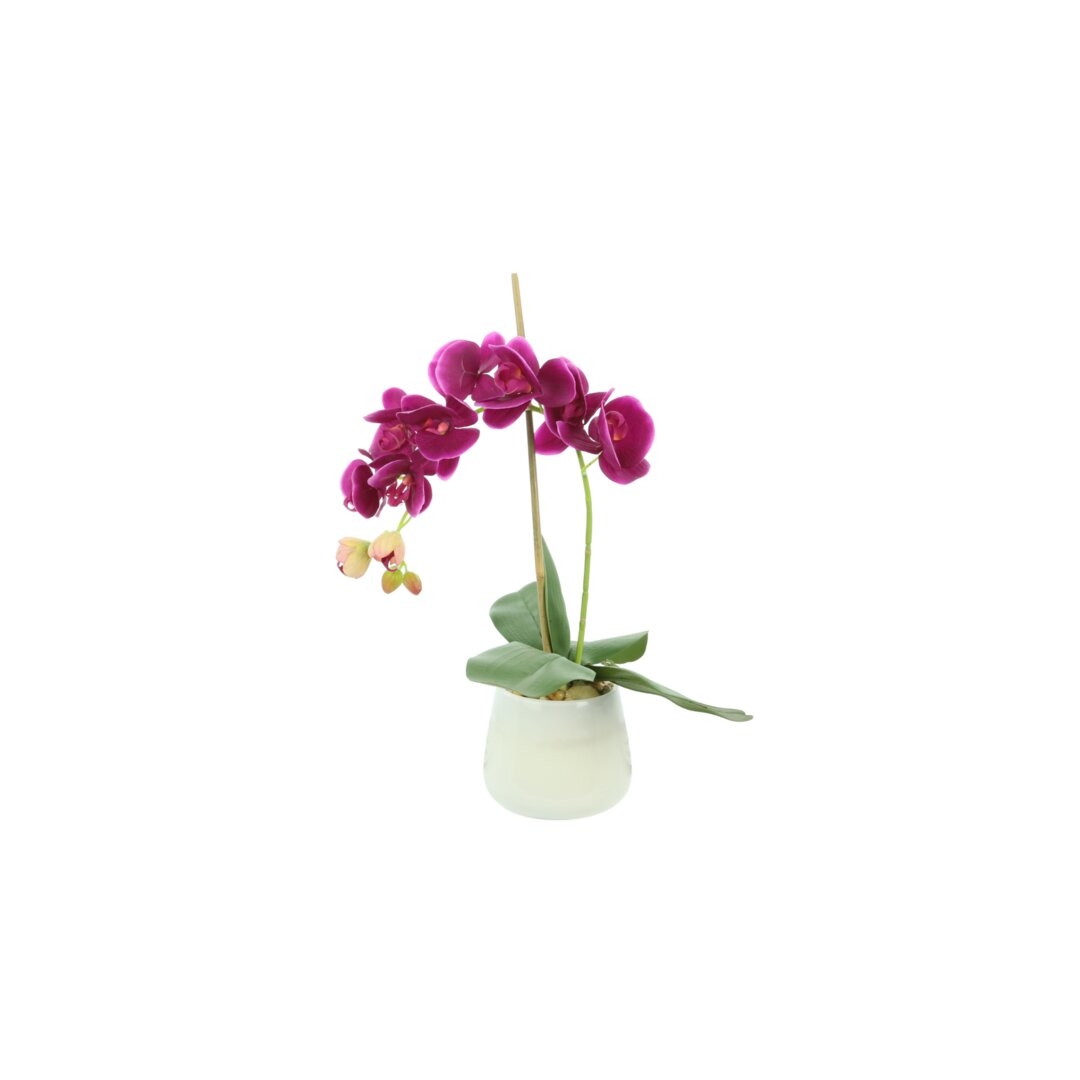 "Creative Displays, Inc. Phalaenopsis Orchid Floral Arrangement in Vase" - Image 0