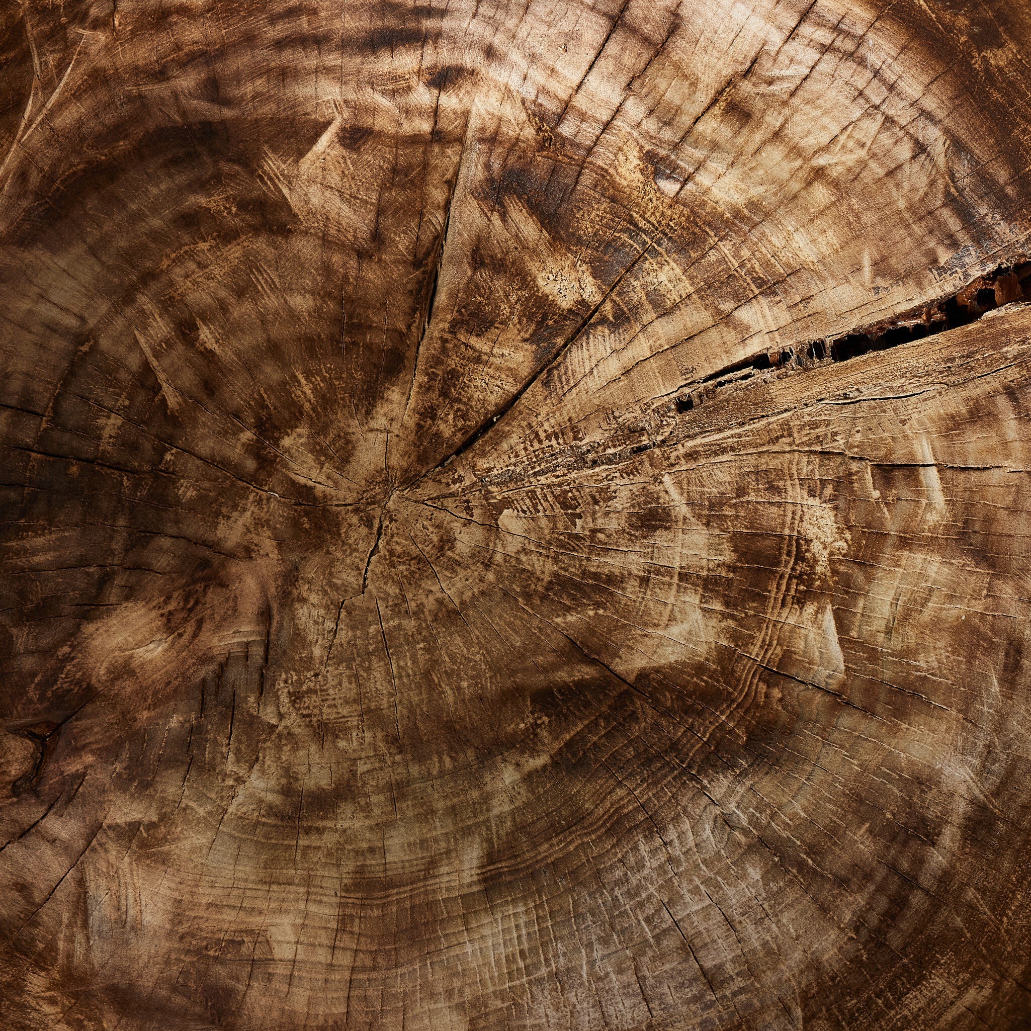 Tazia Bowl - Burnt Reclaimed - Image 3