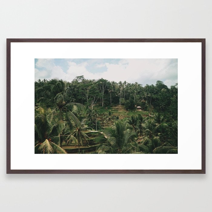 Bali Travel Photography - Tropical Palm Trees - Rice Field Terraces - Mountains - Landscape Print Framed Art Print by Ingrid Beddoes Photography - Conservation Walnut - Large 24" x 36"-26x38 - Image 0