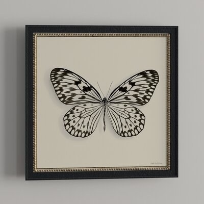 'Butterfly V BW' - Picture Frame Graphic Art Print on Paper - Image 0