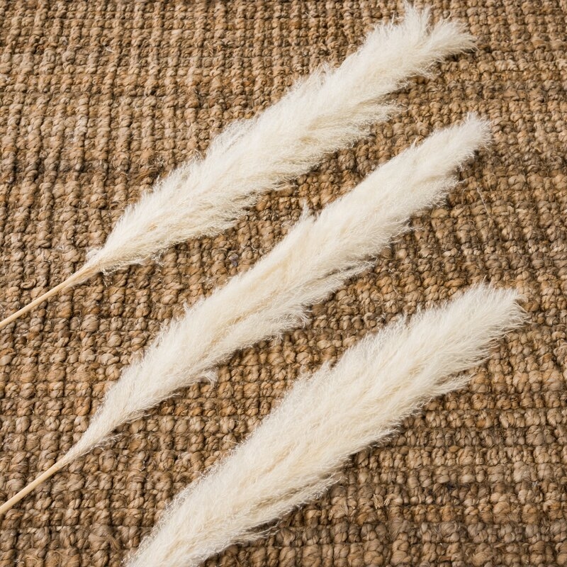 Preserved Pampas Grass Plant, Set of 6 - Image 1