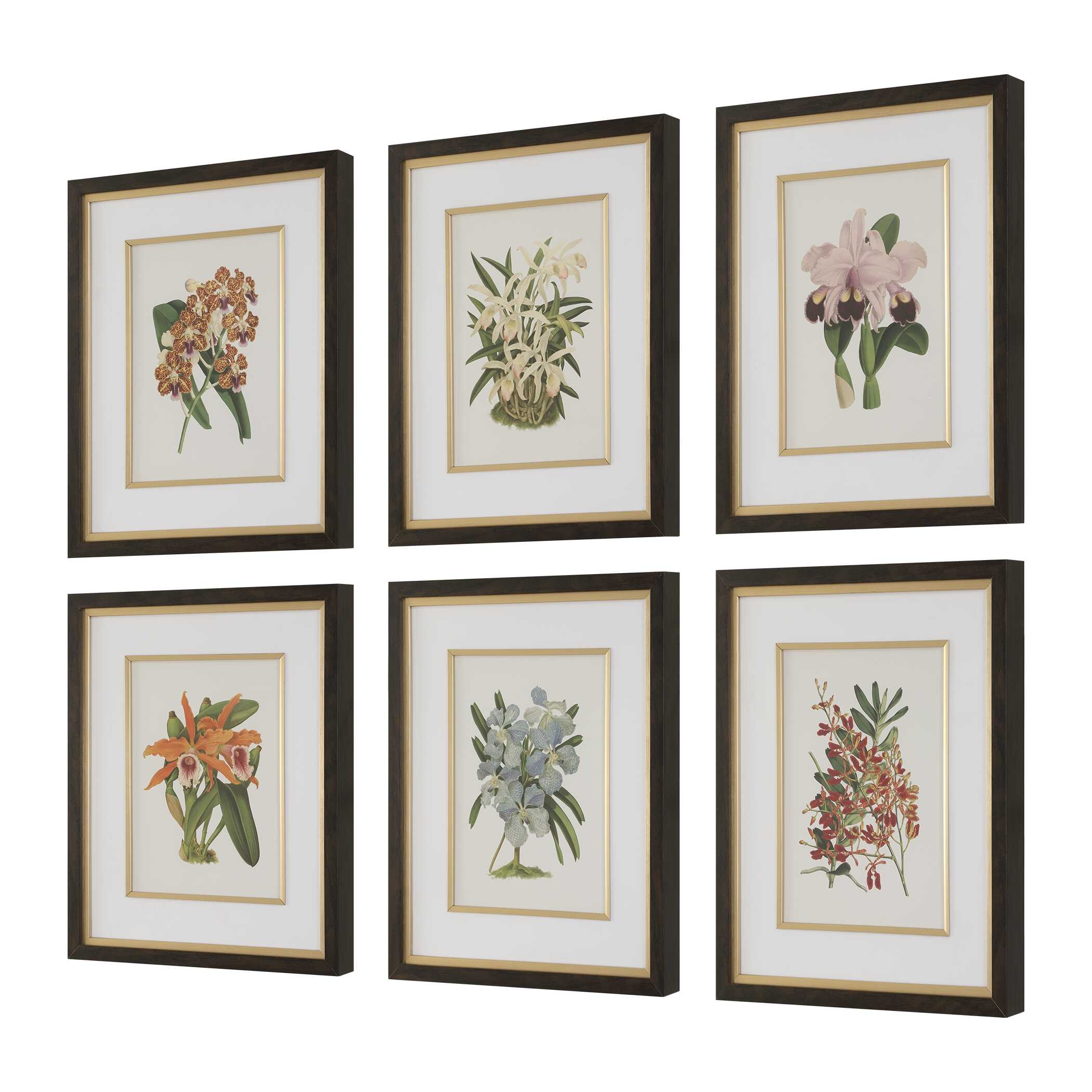 Orchid Botanical Framed Prints Set/6 - Image 2