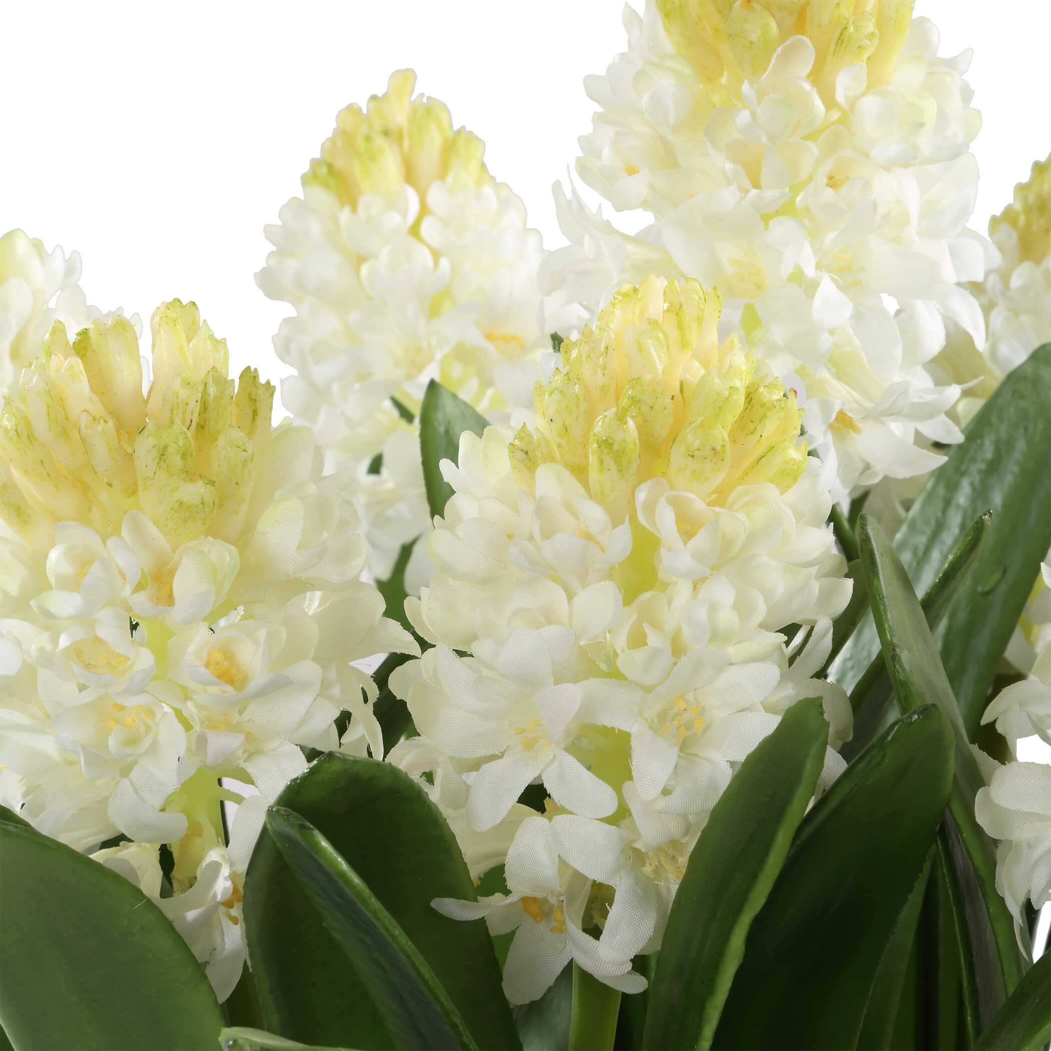 Sincerity Potted Hyacinth Plant - Image 3