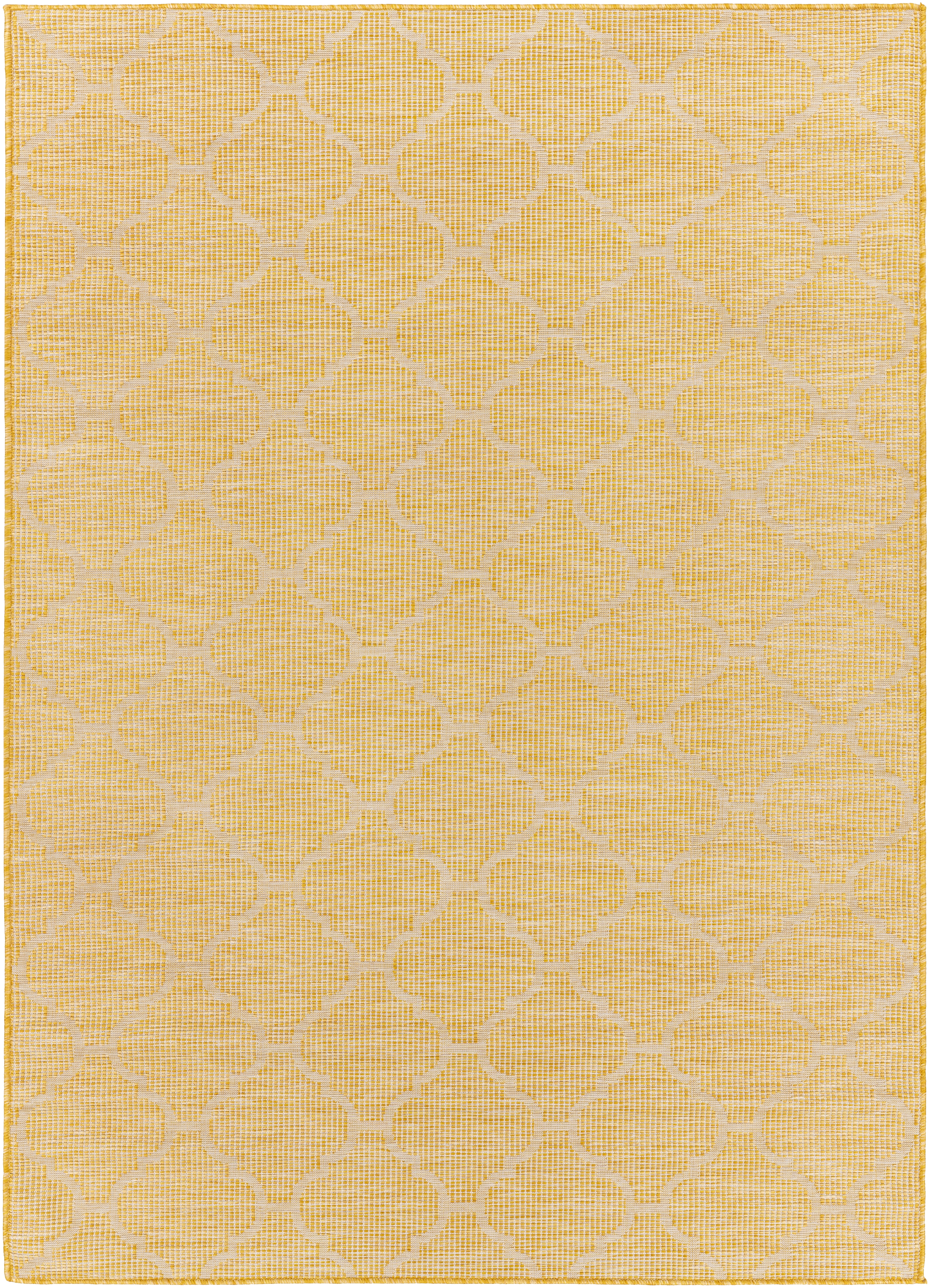 Pasadena Beige Outdoor 2'6" x 4' Machine Woven Rug - Image 0