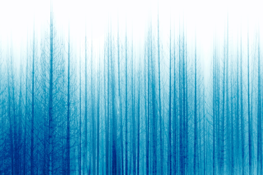 Blue Forest At Dawn Art Print by Christina Lynn Williams - Medium - Image 1