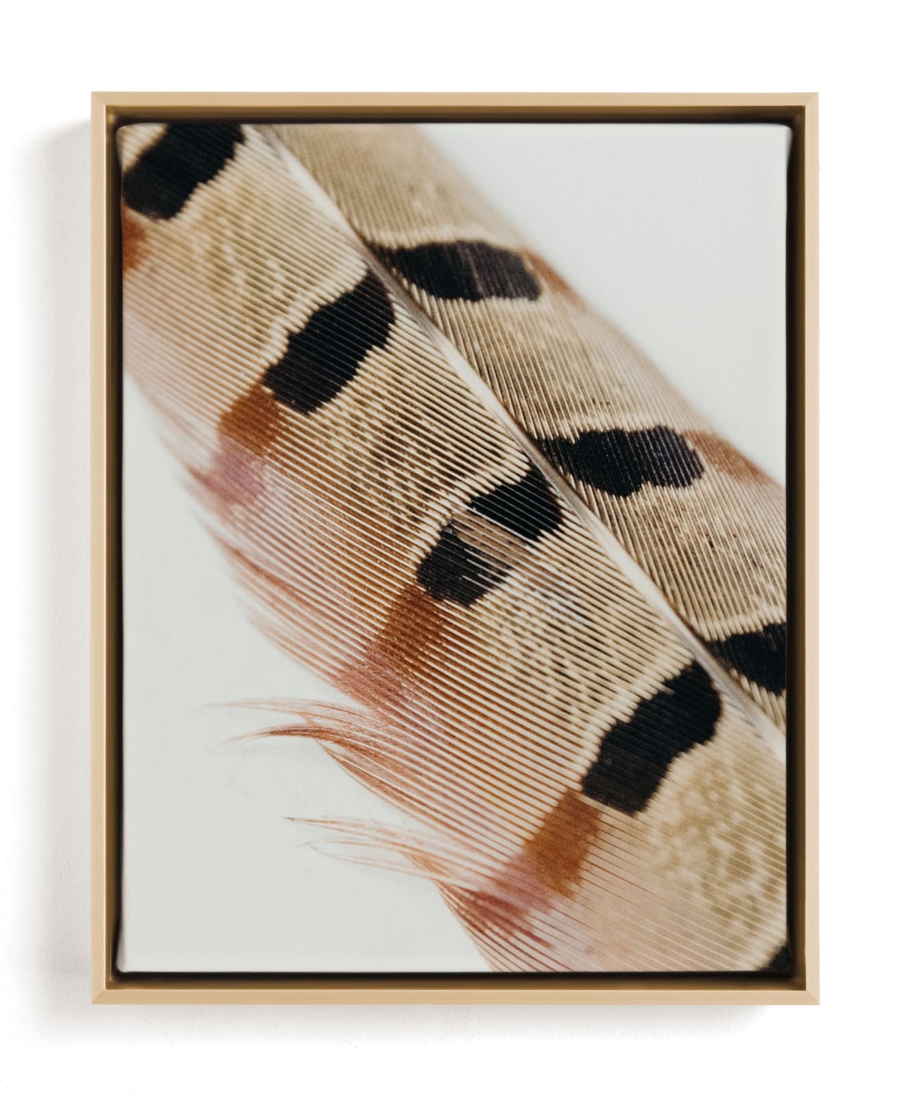 Feather Study I Limited Edition Fine Art Print 2 - Image 0