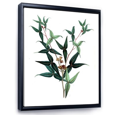 Vintage Green Leaves Plants VIII - Traditional Canvas Wall Art Print FL35472 - Image 0
