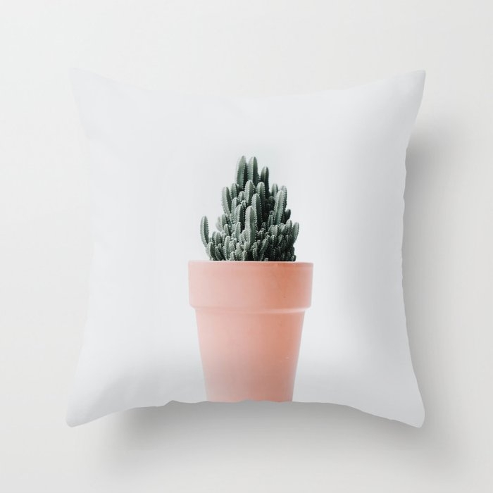 Cactus Print 2 - Terracotta Pot - Minimal Succulent - Nature Photography Throw Pillow by Ingrid Beddoes Photography - Cover (20" x 20") With Pillow Insert - Outdoor Pillow - Image 0