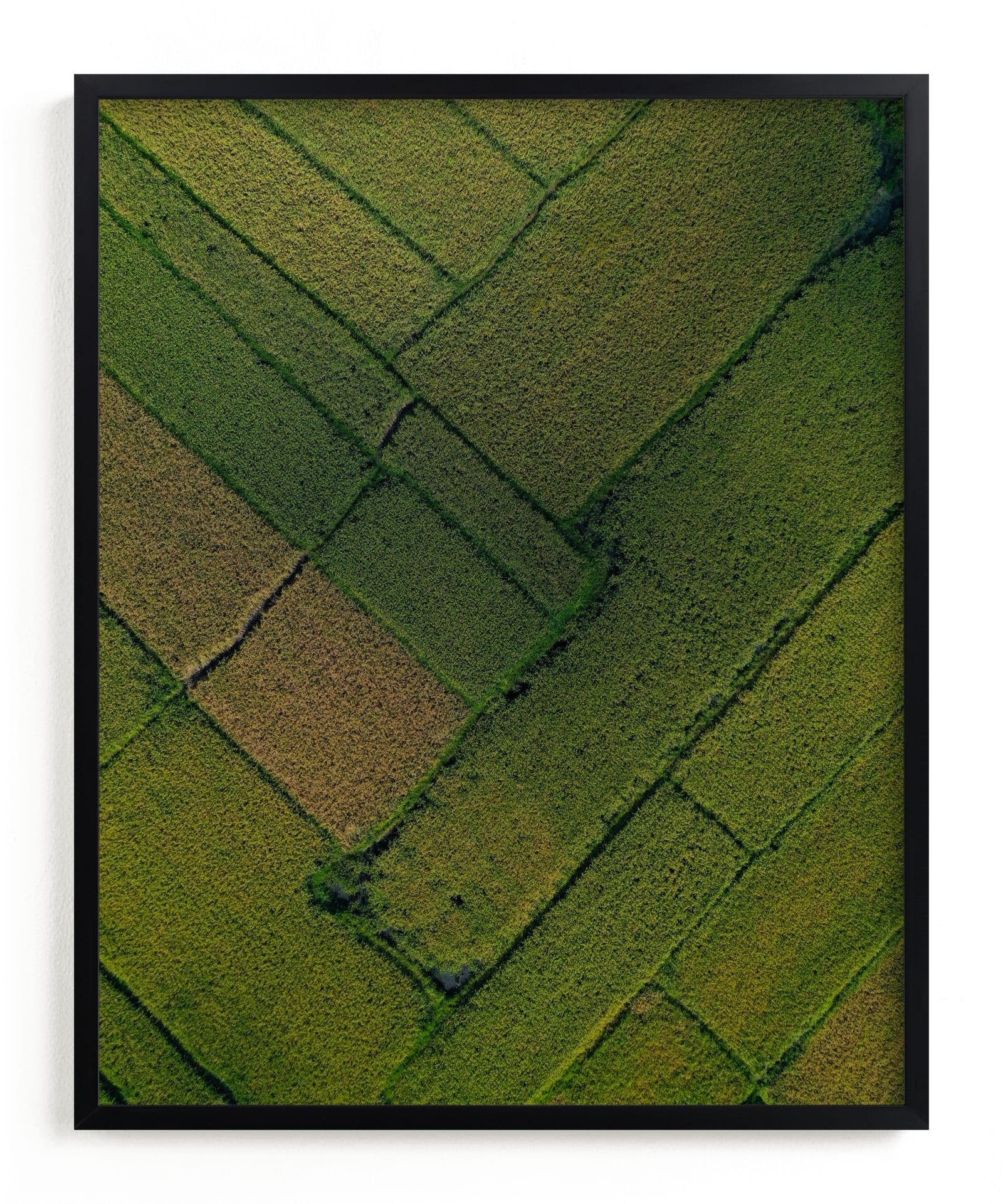 Above The Paddy Limited Edition Fine Art Print 2 - Image 0