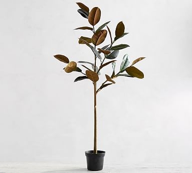 Faux Variegated Rubber Tree, Dark Green, Large - Image 0
