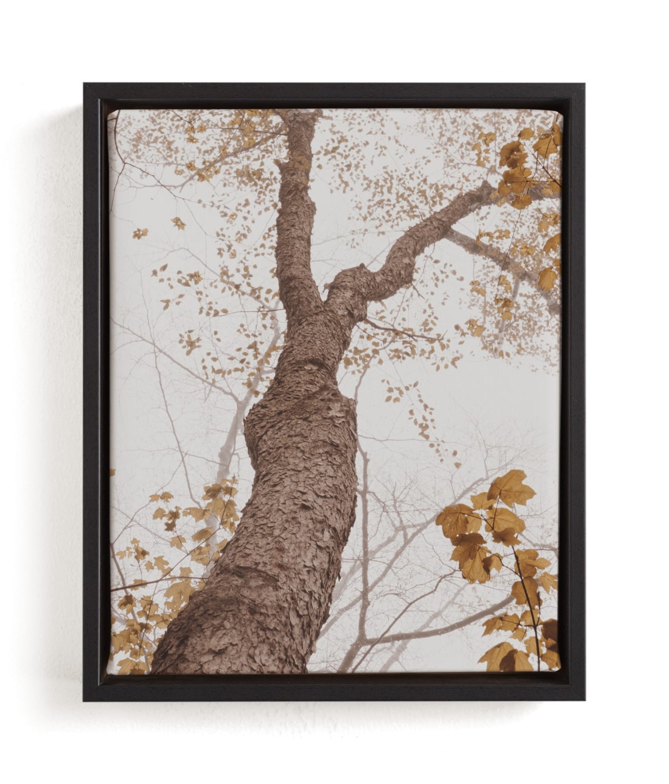 Be Still I Limited Edition Fine Art Print 2 - Image 0