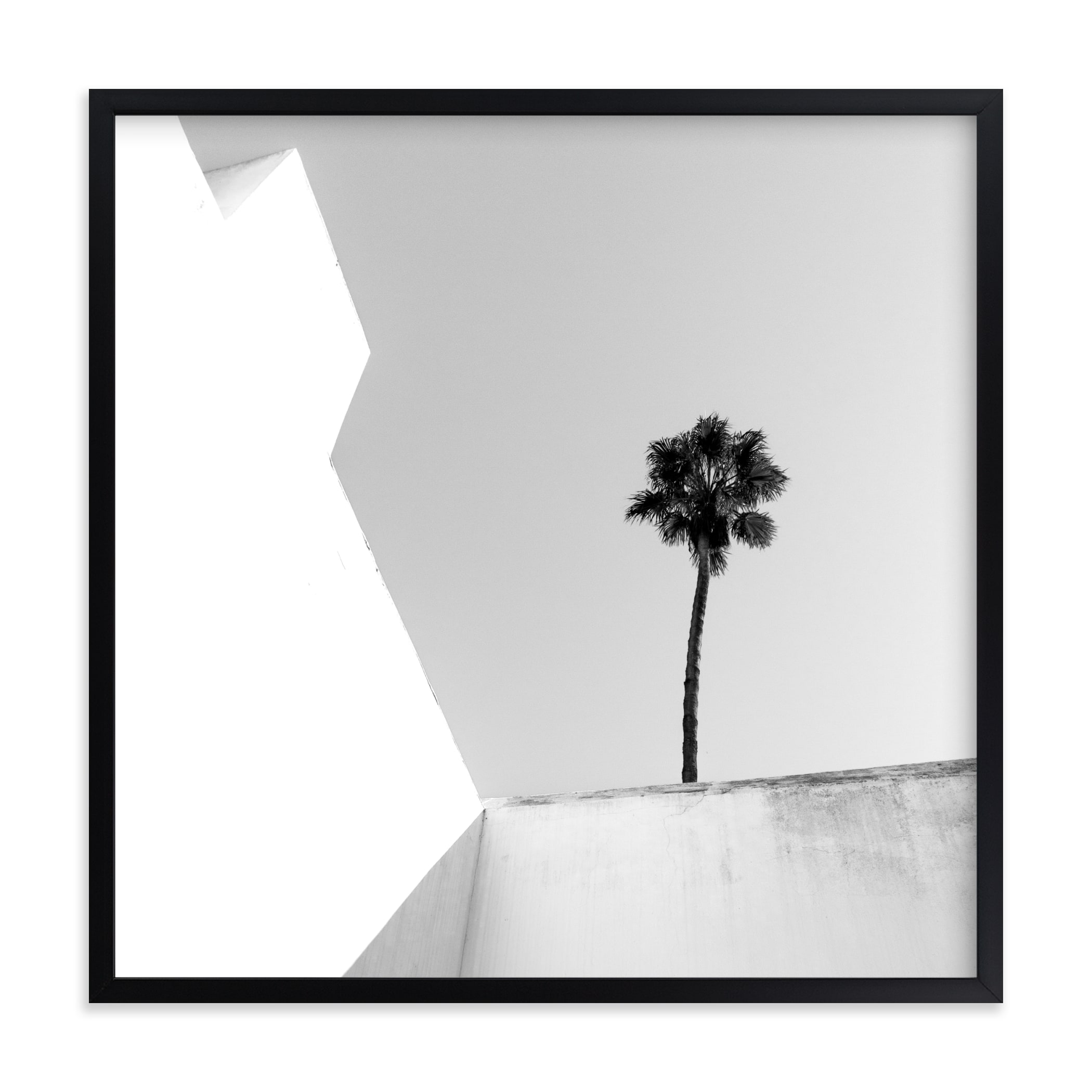 Structured Palm Limited Edition Fine Art Print 2 - Image 0