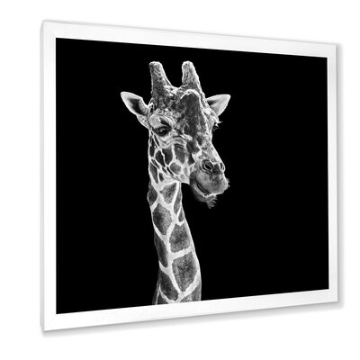 Close Up Portrait Of A Giraffe II - Farmhouse Canvas Wall Art Print - Image 0