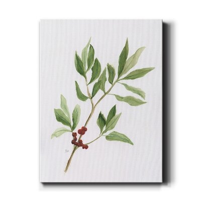 Winter Botanical I by Nan - Wrapped Canvas Painting Print - Image 0