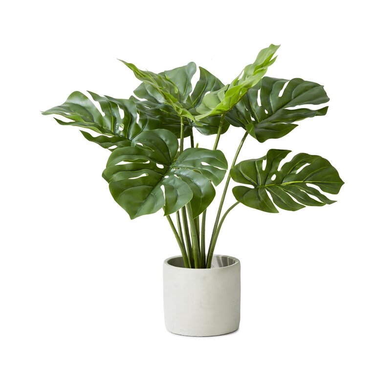 21" Evergreen Plant in Pot - Image 0