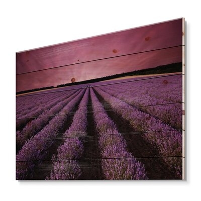 Sunrise & Dramatic Clouds Over Lavender Field XI - Farmhouse Print On Natural Pine Wood - Image 0