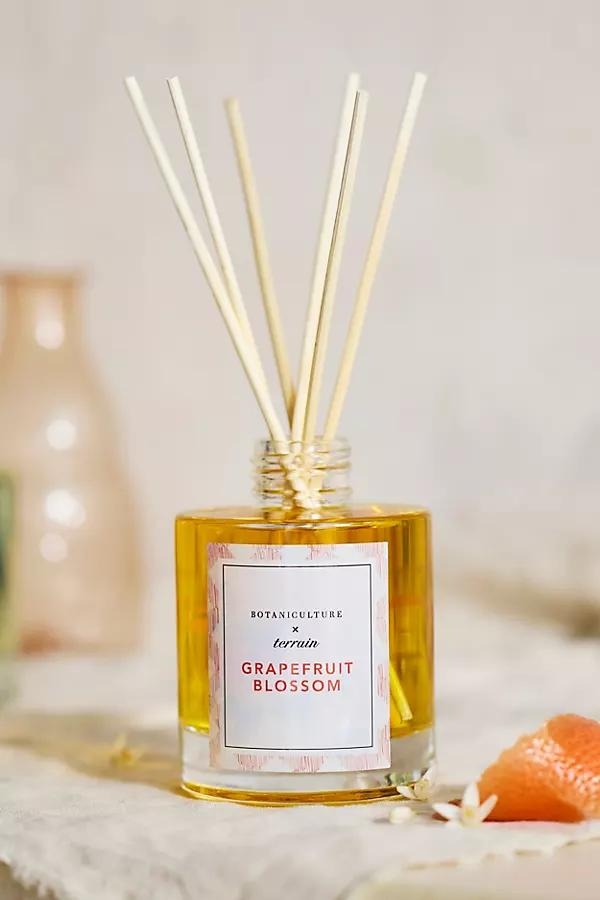 Reed Diffuser - Image 0