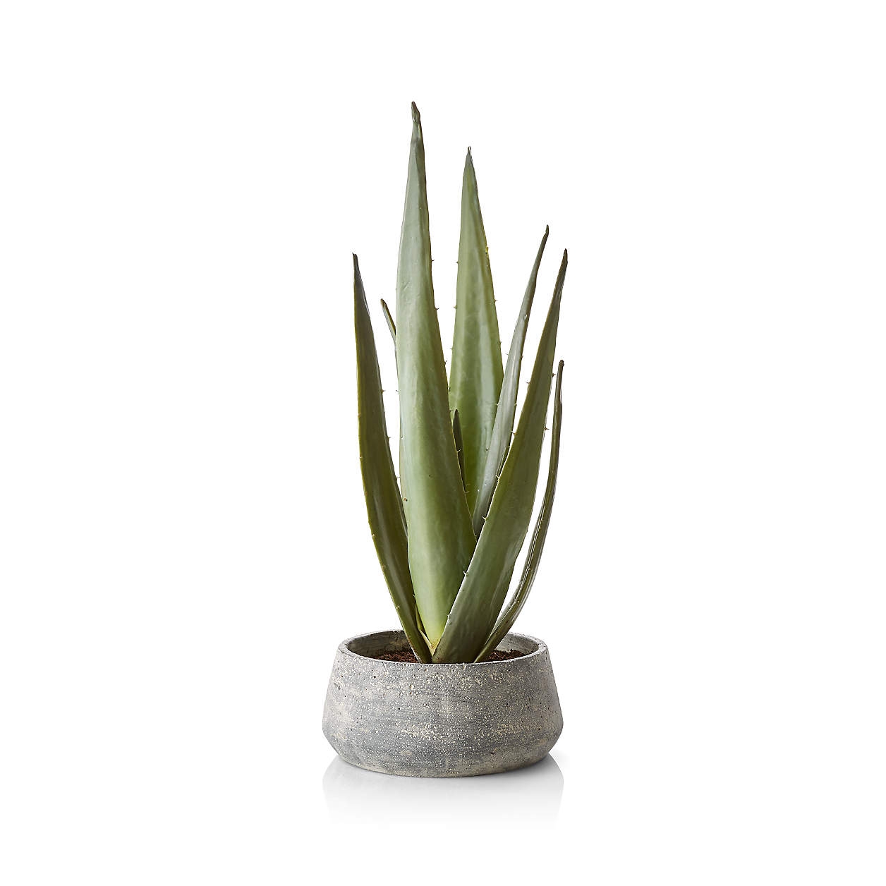Faux Potted Agave - Image 0