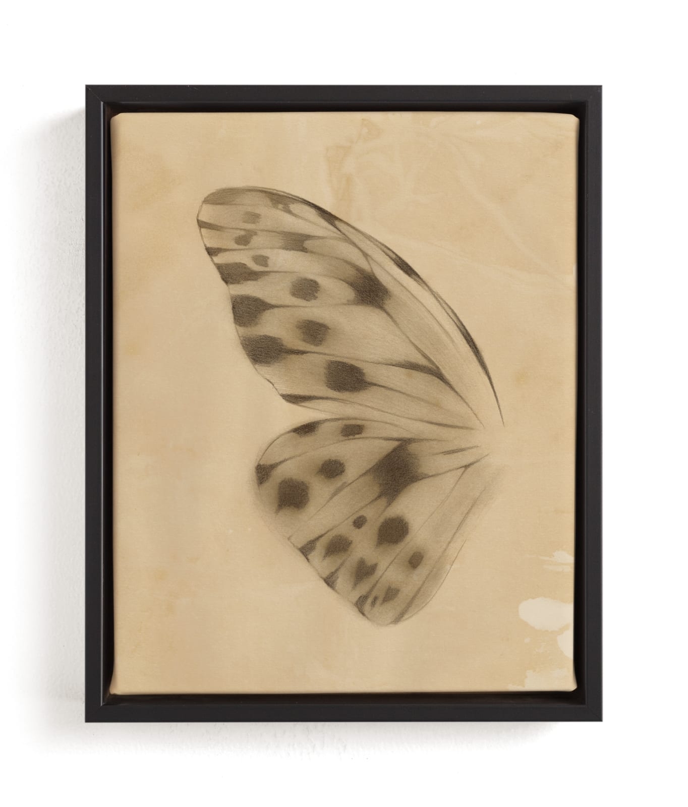Vintage Mariposa I Limited Edition Fine Art Print 2 - Image 0
