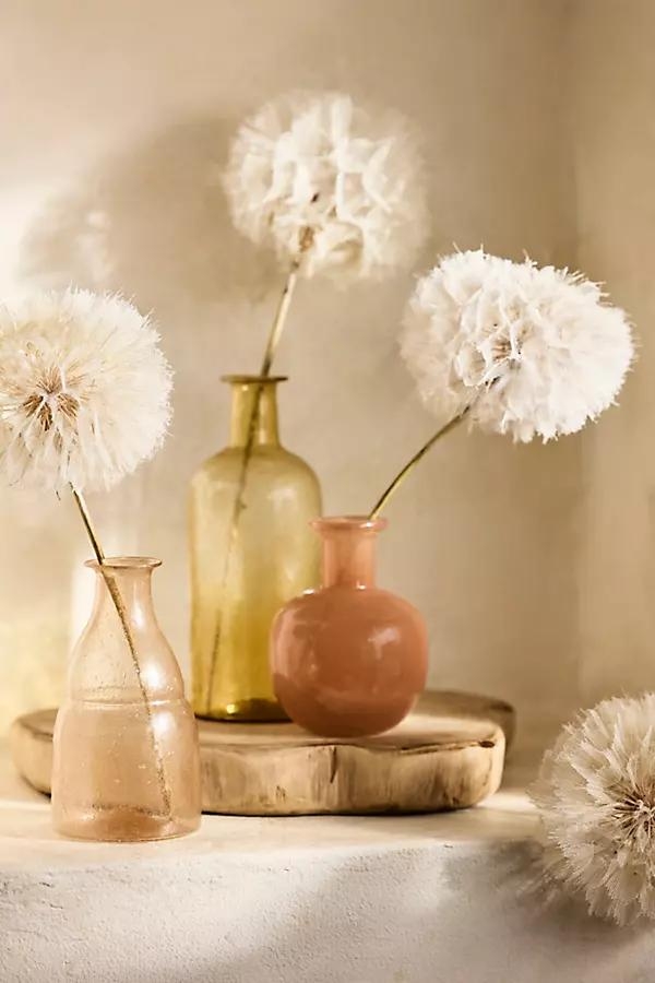 Dried Dandelion Stems, Set of 5 - Image 0