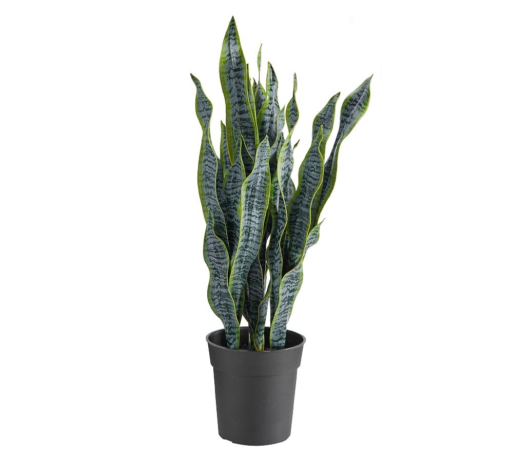 Faux Potted Houseplant, Snake Plant - Image 0