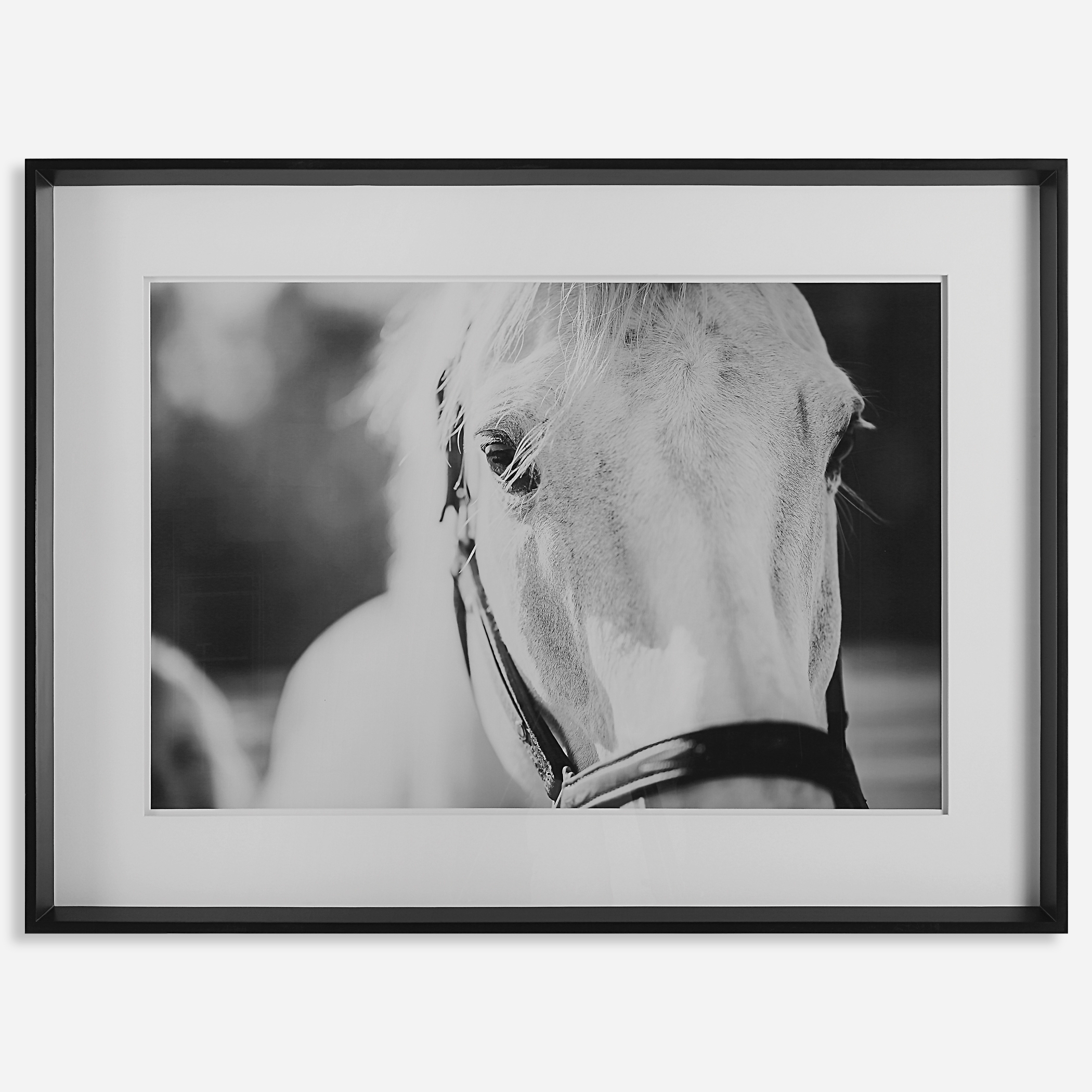 Eyes On The Prize Framed Print - Image 0