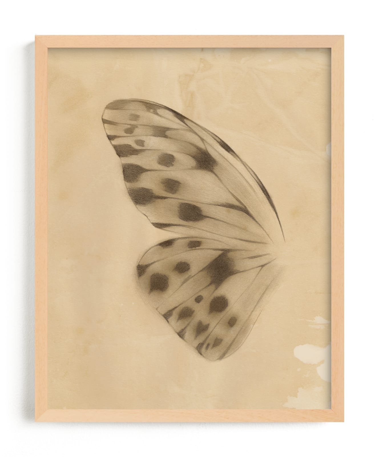 Vintage Mariposa I Limited Edition Fine Art Print 2 - Image 0