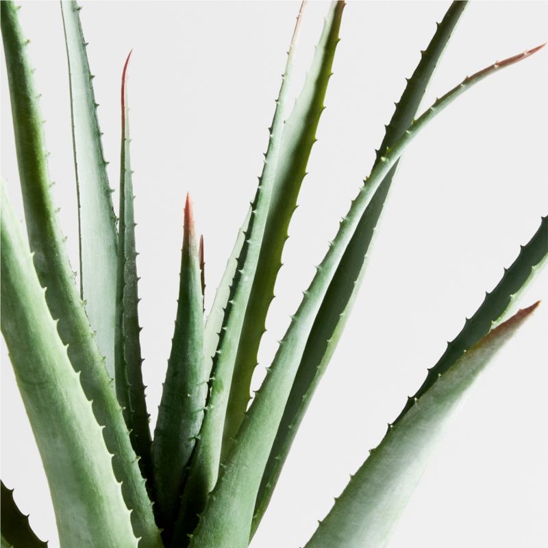 Potted Faux Agave Sisal Plant - Image 2