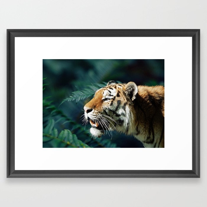Save The Tiger #society6 #buyart #lifestyle #cause Framed Art Print by 83 Oranges Free Spirits - Scoop Black - Medium(Gallery) 18" x 24"-20x26 - Image 0