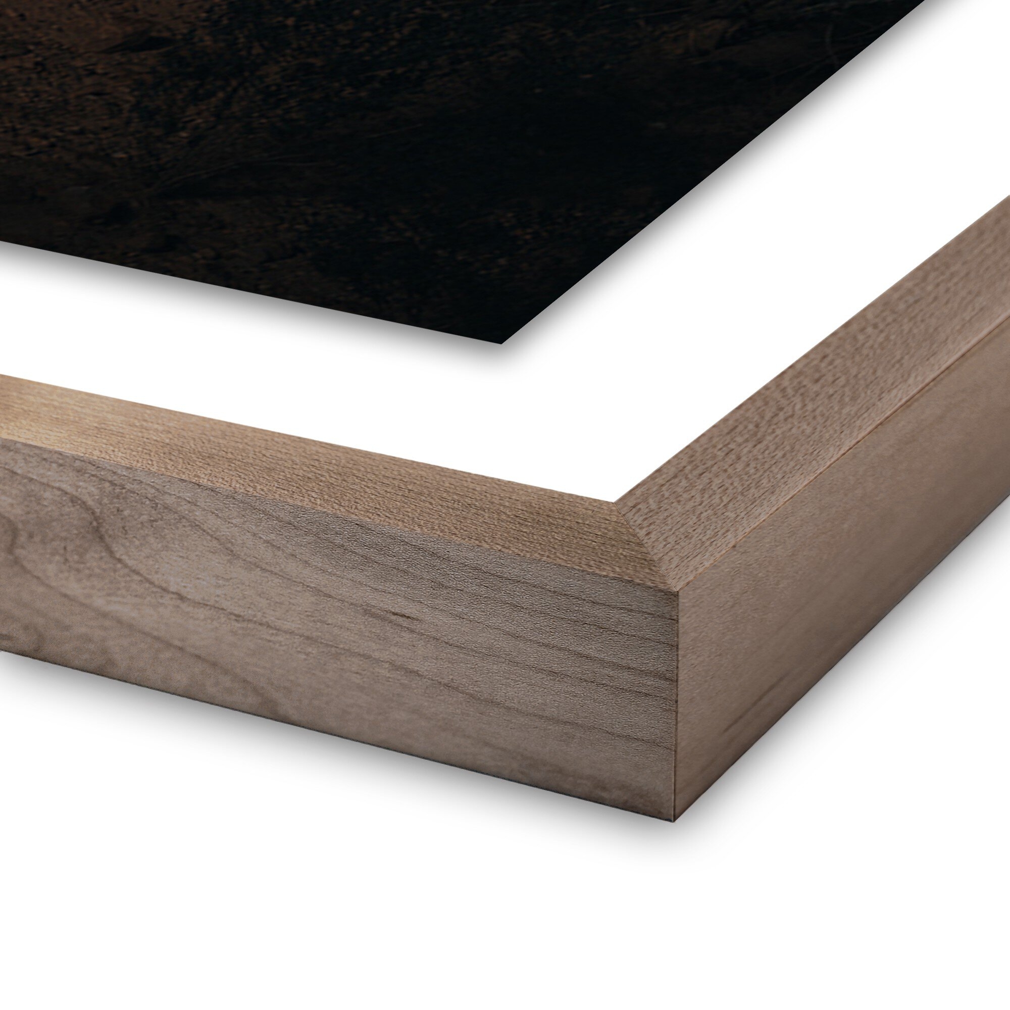 Ocotillo II by Mandy Steinback - Rustic 2.5 Walnut - Image 1