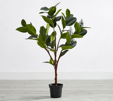 Faux Potted Rubber Tree, 51.5" - Image 0