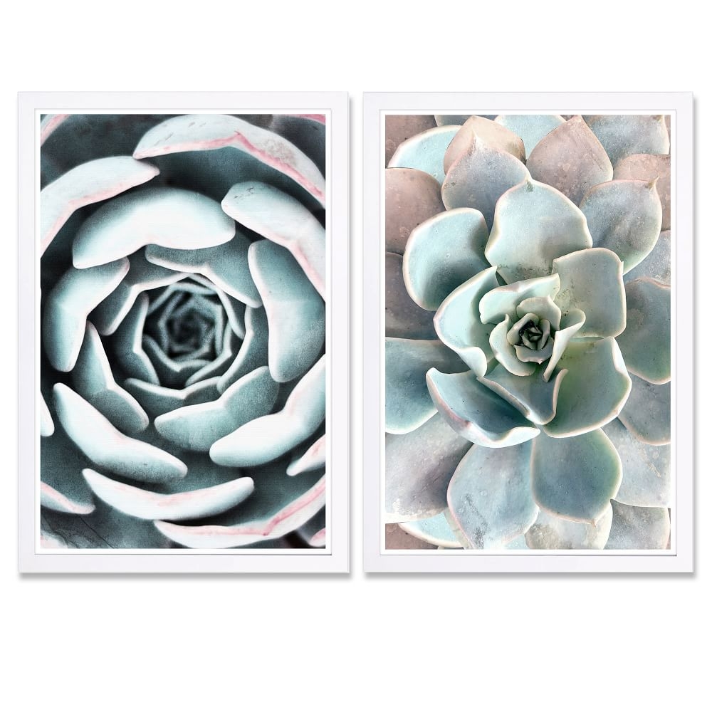 Oliver Gal Succulent Framed Art, Set of 2, Mint - Image 0