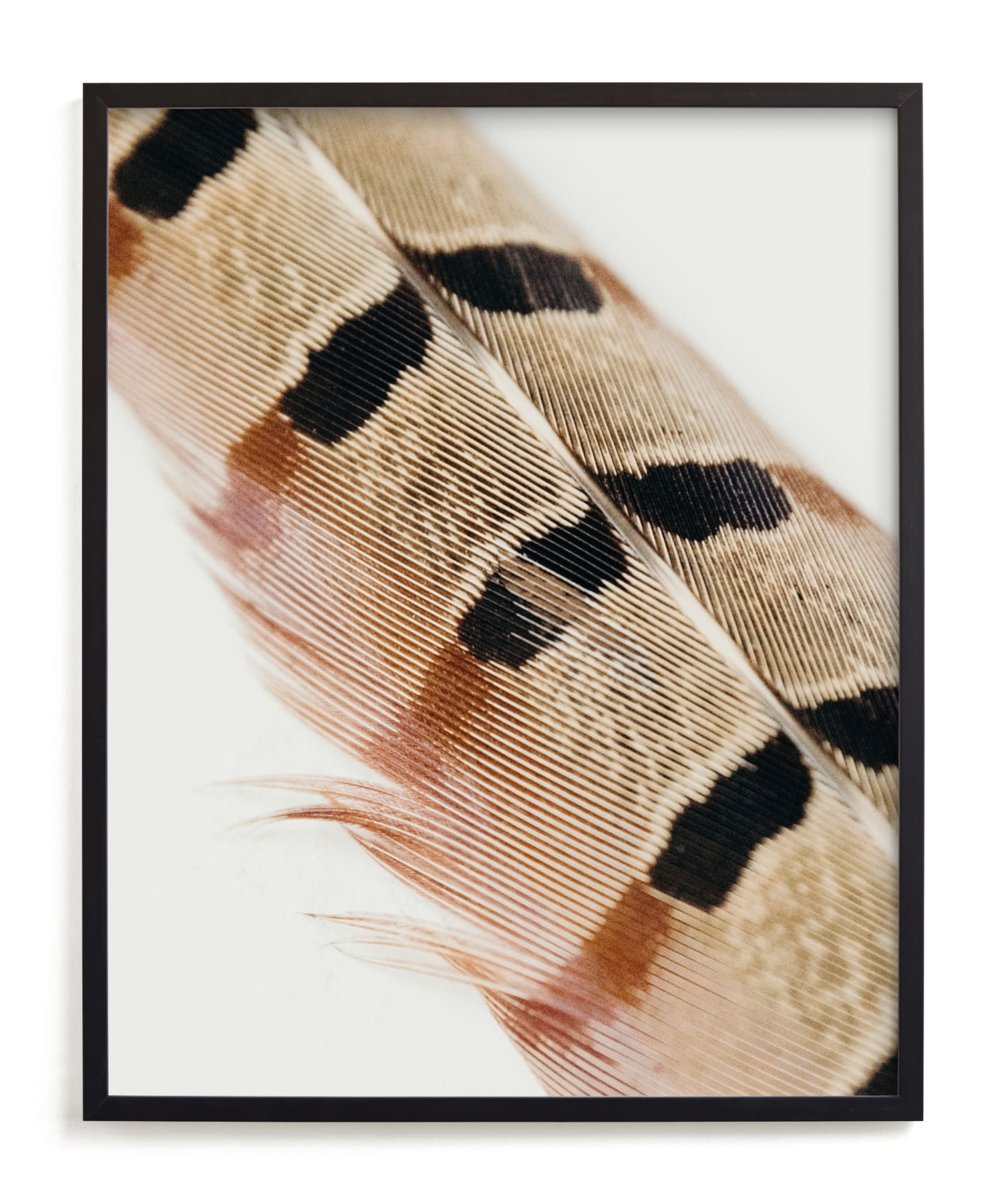 Feather Study I Limited Edition Fine Art Print 2 - Image 0