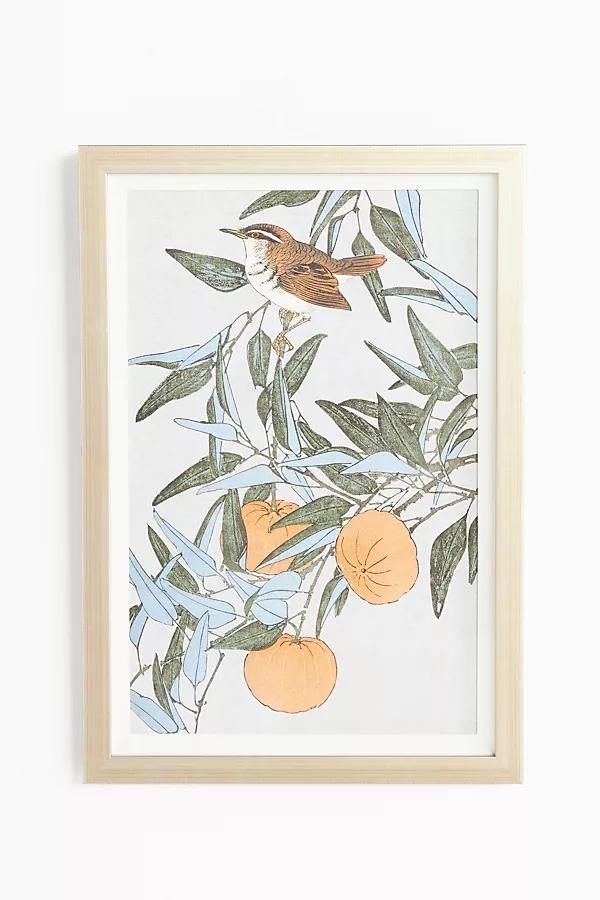 Ornithology Motif Wall Art - Image 0