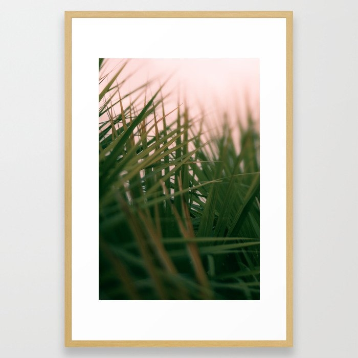 Sunset Palmettos Framed Art Print by Olivia Joy St.claire - Cozy Home Decor, - Conservation Natural - LARGE (Gallery)-26x38 - Image 0