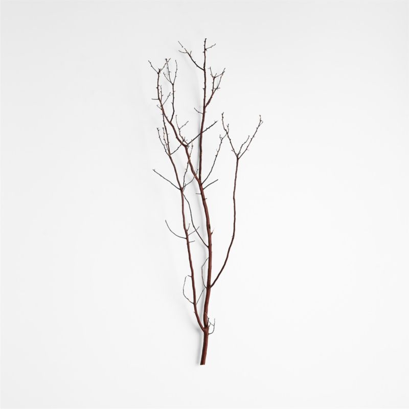 Manzanita Branch - Image 0