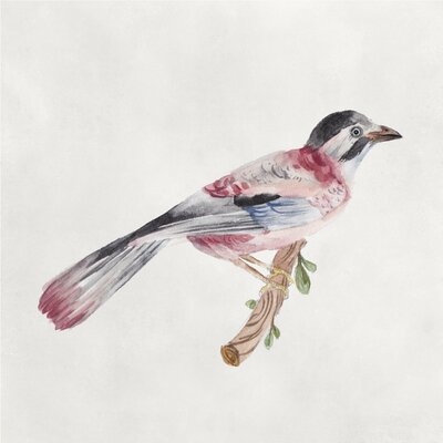 Bird Sketch I - Image 0