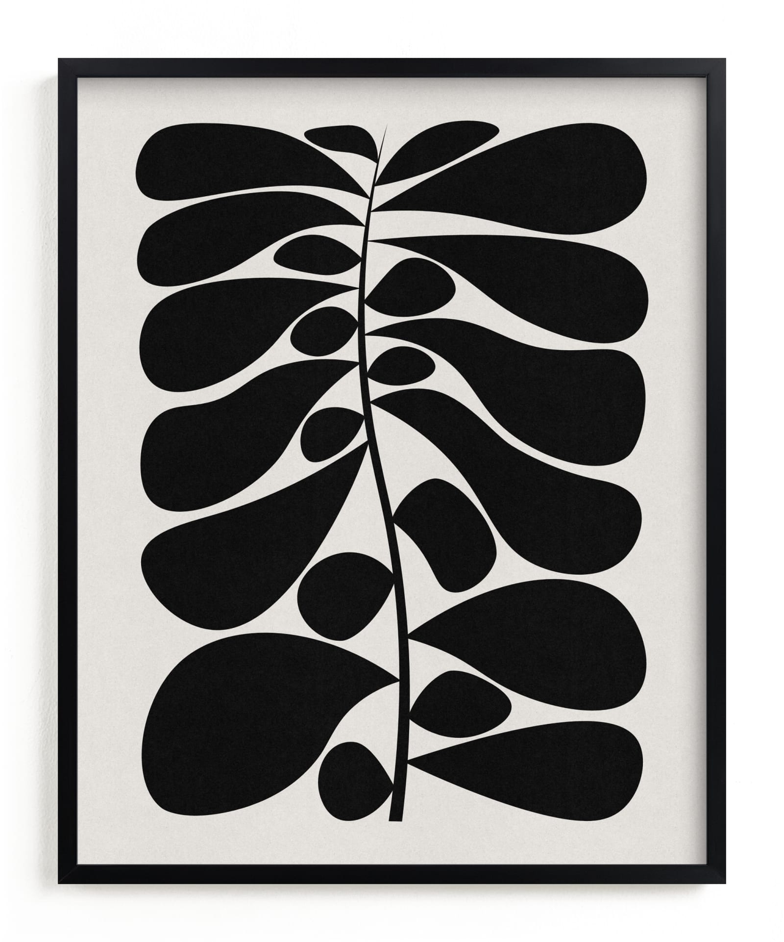 Black Plant I Limited Edition Fine Art Print 2 - Image 0
